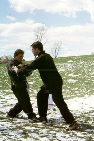 Zen Spirit of Bodhidharma is The Mind